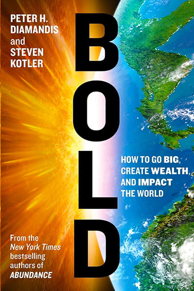 Bold How to Go Big Create Wealth and Impact the World