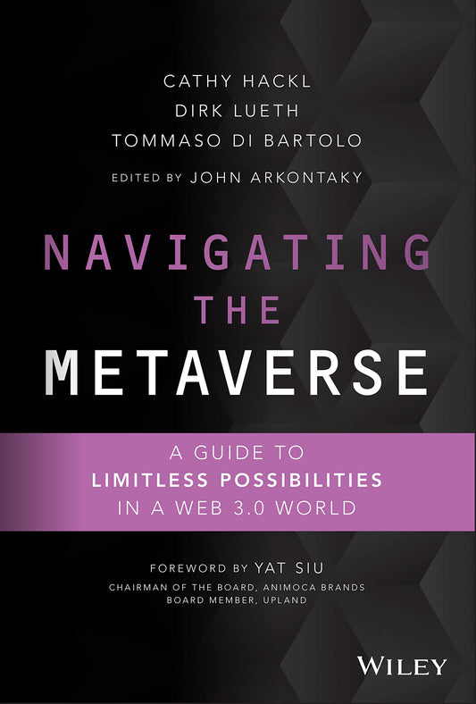 Navigating the Metaverse